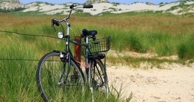 fiets in de duinen